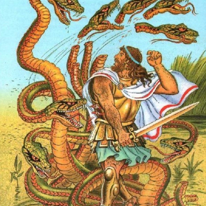 Kraken 5 at